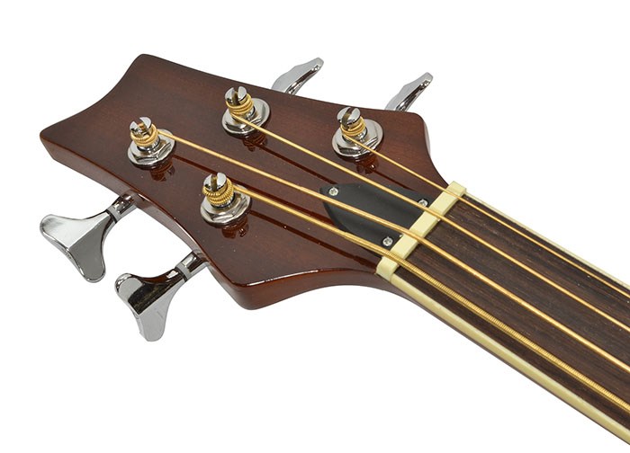 Bryce Fretless Electro Acoustic Bass Bass Guitars 2701